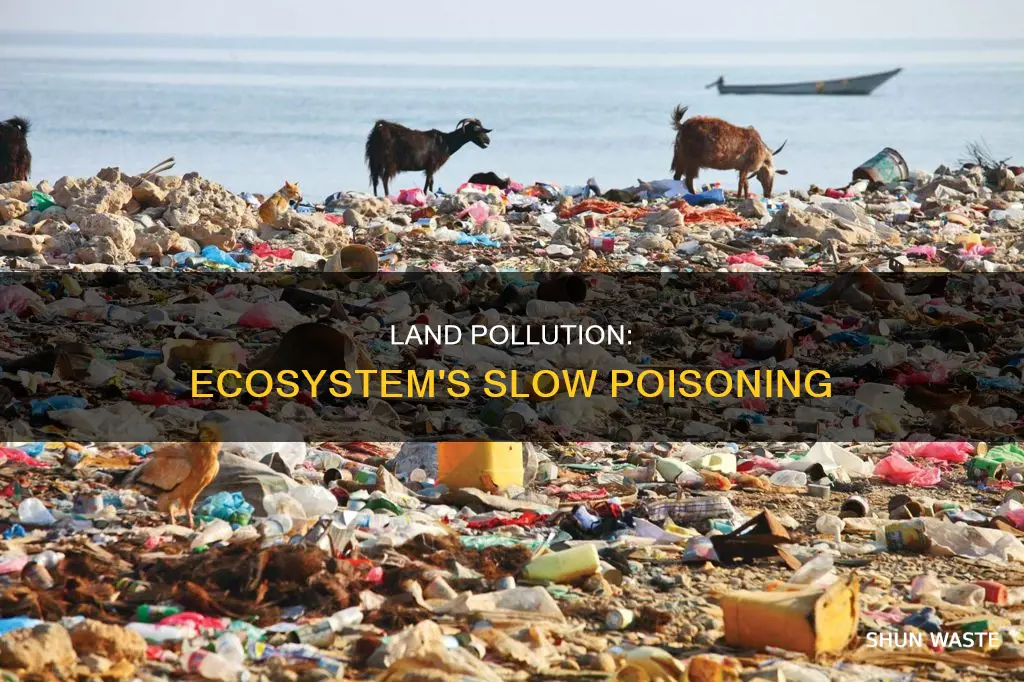 how does land pollution affect the ecosystem