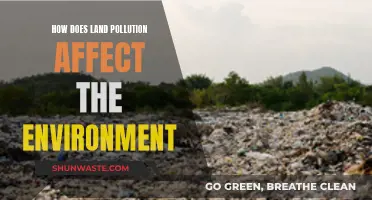 Land Pollution: Environmental Impact and Ecological Consequences