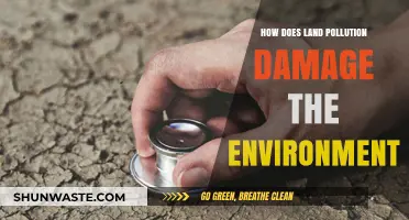 Land Pollution: Damaging Our Environment, Our Future