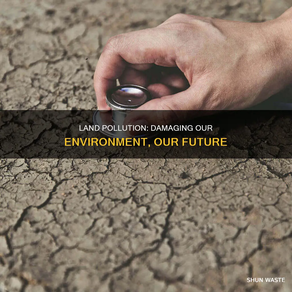 how does land pollution damage the environment