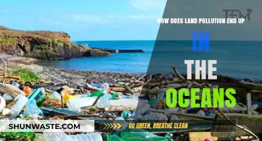 Land Pollution's Journey to Our Oceans
