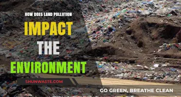 Land Pollution's Devastating Effects on Ecosystems and Environmental Health