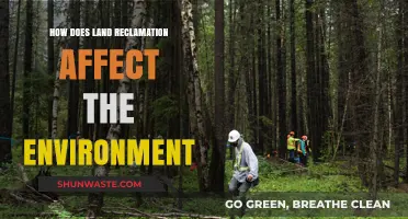 Land Reclamation's Environmental Impact: Challenges, Consequences, and Conservation Efforts