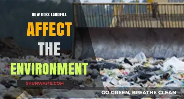 Landfill's Environmental Impact: Pollution, Wildlife, and Climate Change Concerns