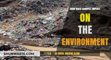 Landfill's Environmental Impact: Pollution, Wildlife Threats, and Climate Change