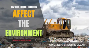 Landfill Pollution: Environmental Impact and Hazards