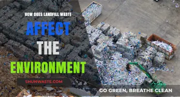 Landfill Waste's Environmental Impact: Pollution, Climate Change, and Ecosystem Destruction