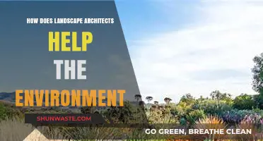 Sustainable Design: How Landscape Architects Protect and Enhance Ecosystems