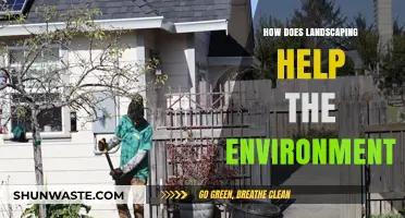 Landscaping's Green Impact: Enhancing Ecosystems and Reducing Environmental Stress