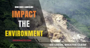 Landslide's Devastating Environmental Impact: Soil, Water, and Ecosystem Disruption