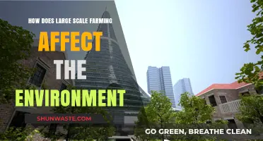 Large-Scale Farming's Environmental Impact: Challenges and Sustainable Solutions