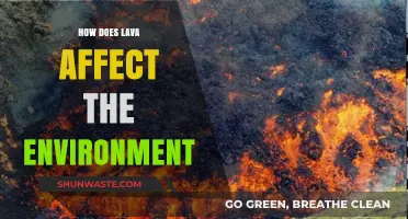 Lava's Environmental Impact: Land, Air, and Ecosystem Transformations Explained