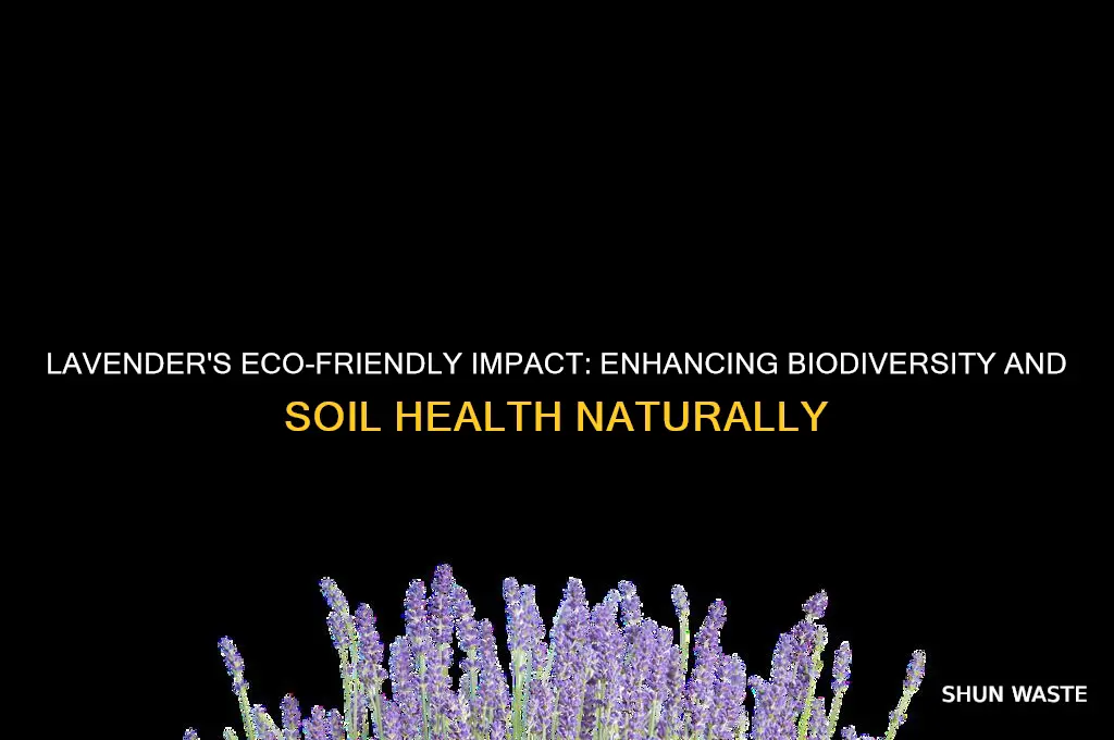 how does lavender help the environment