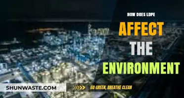 LDPE's Environmental Impact: Pollution, Wildlife Threats, and Sustainability Challenges