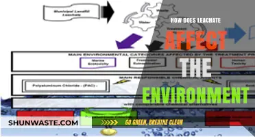 Leachate's Environmental Impact: Pollution, Soil Degradation, and Water Contamination
