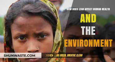 Lead's Toxic Impact: Human Health and Environmental Consequences Explained