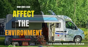 Lead's Environmental Impact: Pollution, Wildlife Threats, and Ecosystem Disruption Explained