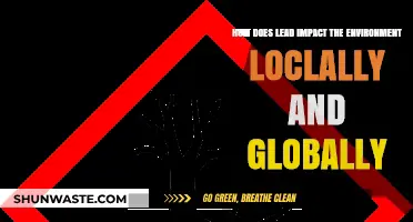 Lead's Environmental Impact: Local and Global Consequences Explored