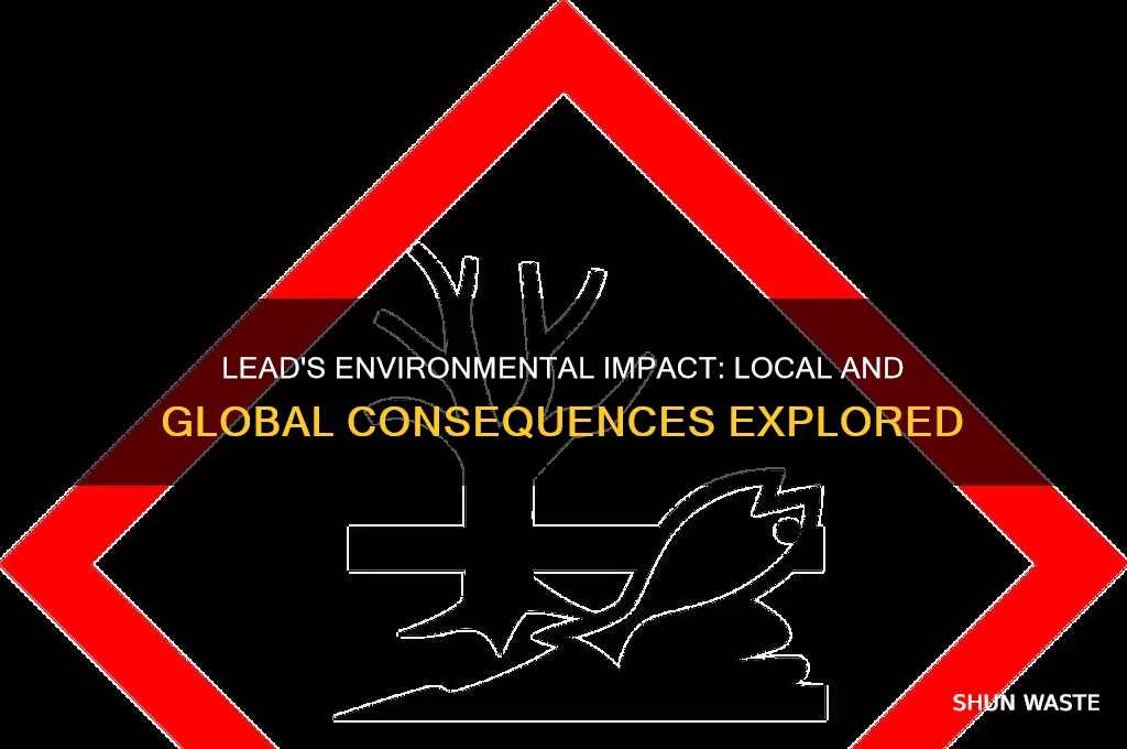 how does lead impact the environment loclally and globally
