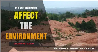 Environmental Impact of Lead Mining: Pollution, Destruction, and Ecosystem Threats