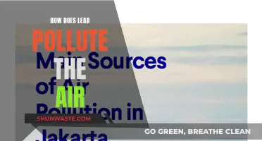 Lead's Impact: Air Pollution and Health Hazards