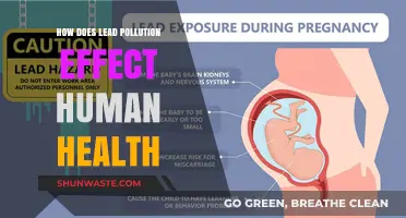 Lead Pollution: A Toxic Threat to Human Health