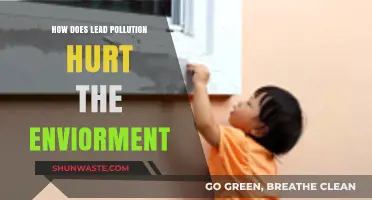 Lead Pollution: A Toxic Threat to Nature