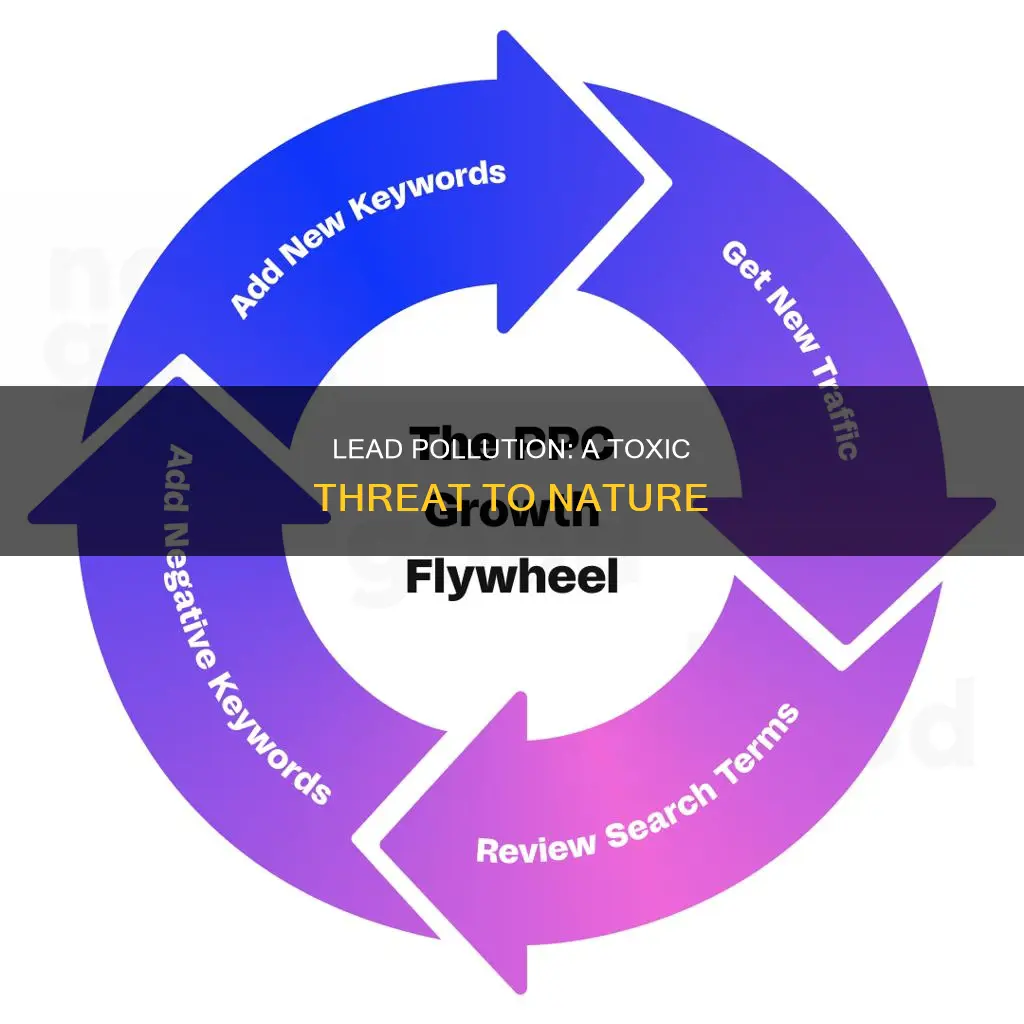 how does lead pollution hurt the enviorment