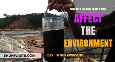 Mine Leakage: Environmental Impacts and Ecosystem Threats Explained