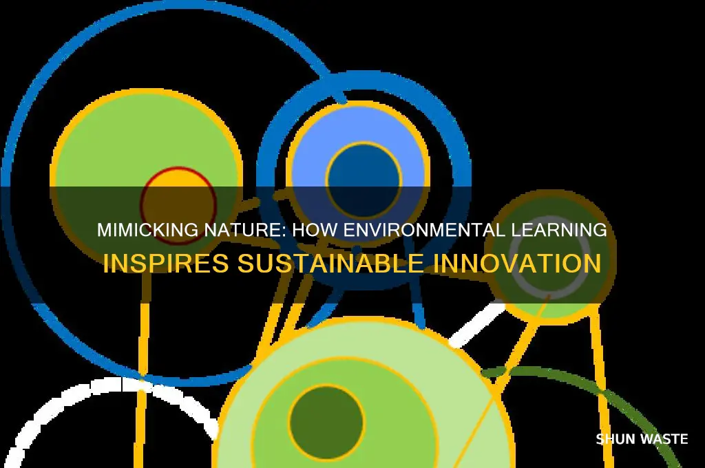 how does learning about the environment help people mimic nature