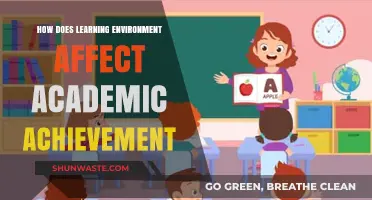Impact of Learning Environments on Academic Success: Key Insights