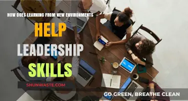 Exploring New Environments: Enhancing Leadership Skills Through Adaptive Learning