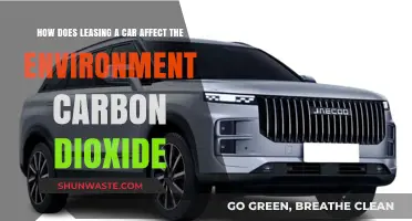 Car Leasing and Its Environmental Impact: Carbon Dioxide Emissions Explained