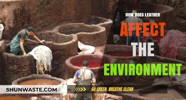 Leather's Environmental Impact: Sustainability, Pollution, and Ethical Concerns Explored
