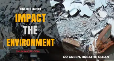 Leather's Environmental Impact: Sustainability Concerns and Eco-Friendly Alternatives