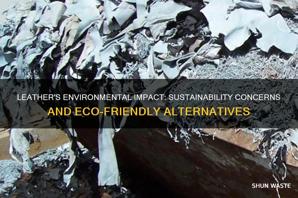 how does leather impact the environment