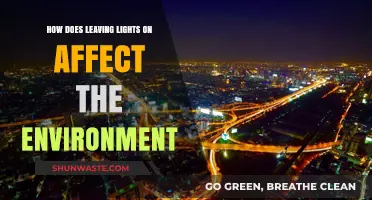 Leaving Lights On: Environmental Impact and Sustainable Energy Solutions