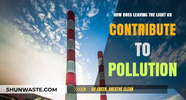 Light Pollution: Leaving Lights On and Its Impact
