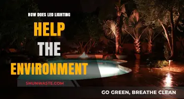 Eco-Friendly LED Lighting: Reducing Carbon Footprint and Energy Consumption