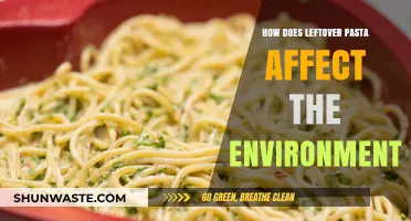 Leftover Pasta's Environmental Impact: Surprising Ways It Affects Our Planet