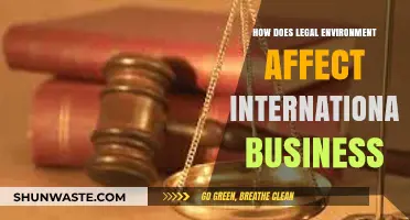 Navigating Global Markets: The Impact of Legal Frameworks on International Business