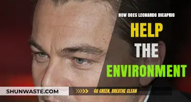 Leonardo DiCaprio's Environmental Impact: Conservation Efforts and Green Initiatives