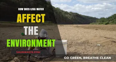 Dwindling Water Supplies: Environmental Impacts and Urgent Conservation Needs