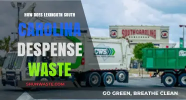 Lexington, SC Waste Management: Efficient Disposal Methods and Practices