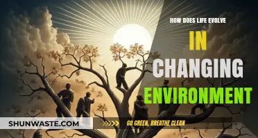 Adapting to Survive: Life's Evolution in Dynamic Environments Explained