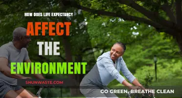 Longer Lives, Bigger Impact: Life Expectancy's Environmental Consequences Explored