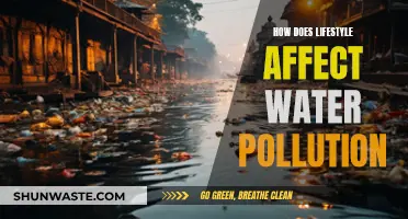 Lifestyle Choices: Impacting Water Pollution