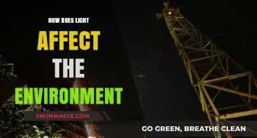 Light's Impact: Environmental Effects and Ecosystem Changes Explained