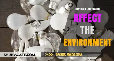 Environmental Impact of Light Bulbs: Energy, Waste, and Sustainability Explained