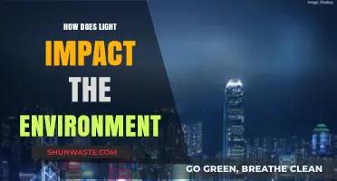 Light's Environmental Impact: Effects on Ecosystems, Wildlife, and Climate